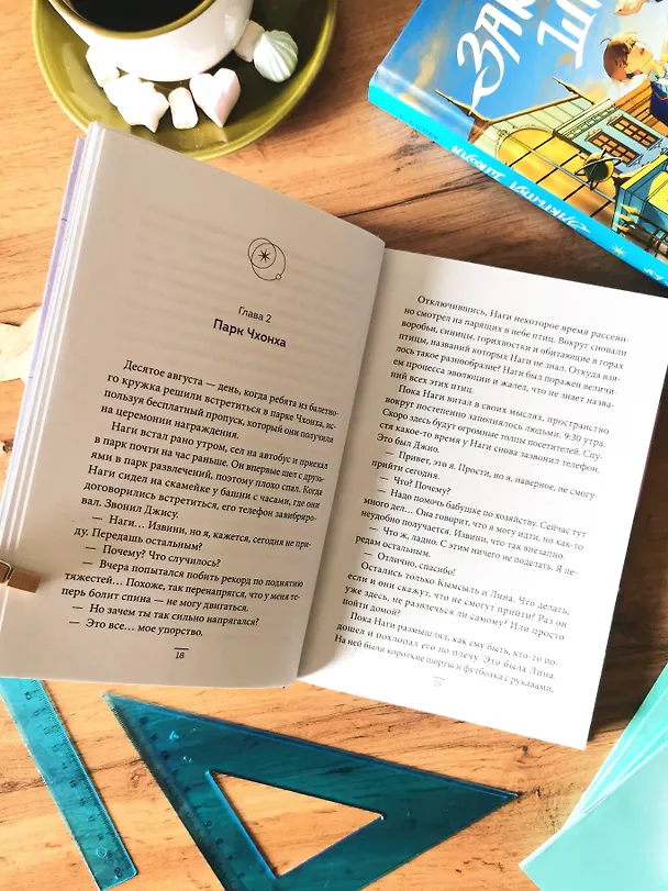 Книга Закрытая школа. Квест 2 (Доктор Бэр) — 9