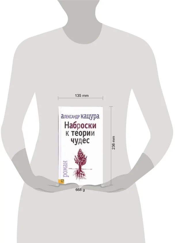 Книга Наброски к теории чудес () — 2