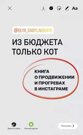 Из бюджета только кот. Книга о продвижении и прогревах в инстаграме (с автографом) — 2906397 — 1