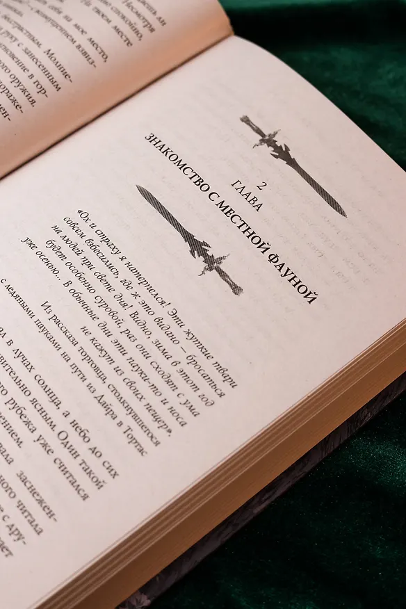 Книга Фальтерия. Ветер севера (Мари Лефейр) — 13