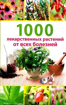 1000 лекарственных растений от всех болезней. Гитун Т. (Мир Книги ...