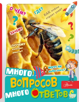 Много вопросов, много ответов — 3016119 — 1