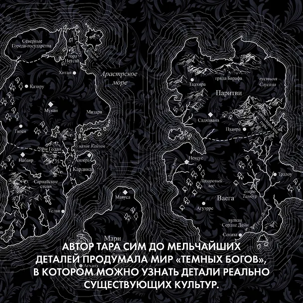 Книга Темные боги. Книга 1. Сумеречный город (Тара Сим) — 8