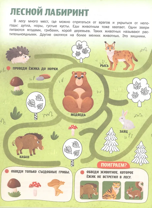Книга Животные России: книжка с наклейками (Жанна Борода) — 3