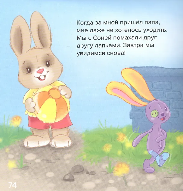 Книга Зайка по имени Стёпа. Большая книга (Эндриан Хейменс) — 3