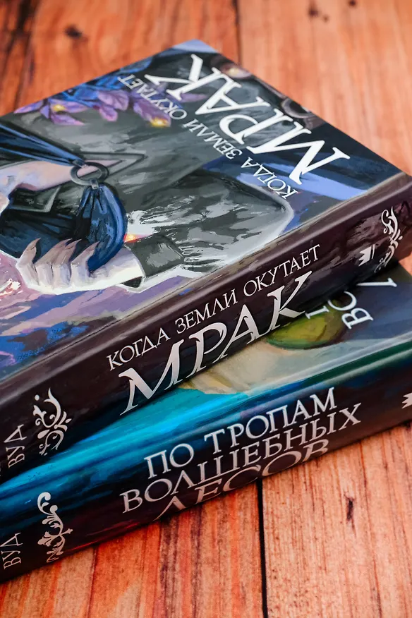 Книга Когда земли окутает мрак (Яна Вуд) — 13