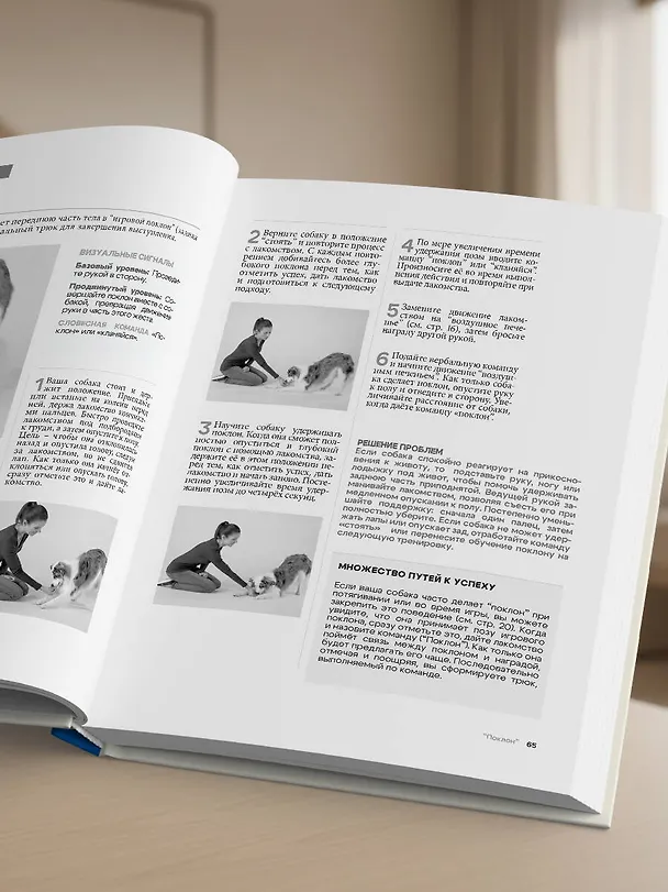 Книга Собака, которая умеет всё. Пошаговое руководство по 118 удивительным трюкам (Ларри Кей, Крис Перонди) — 14