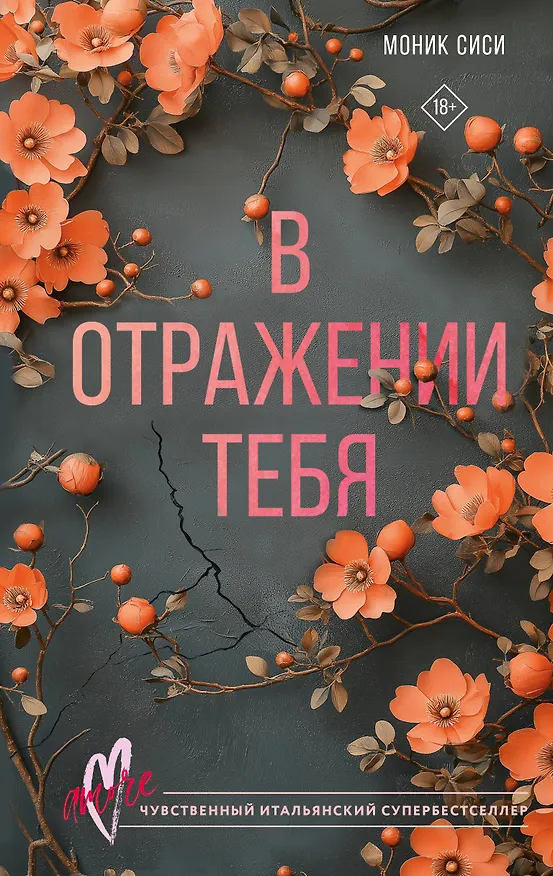 Книга В отражении тебя (Моник Сиси) — 1