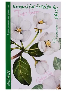 Тетрадь для записи иностранных слов Айрис, "Жасмин", А6, 32 листа