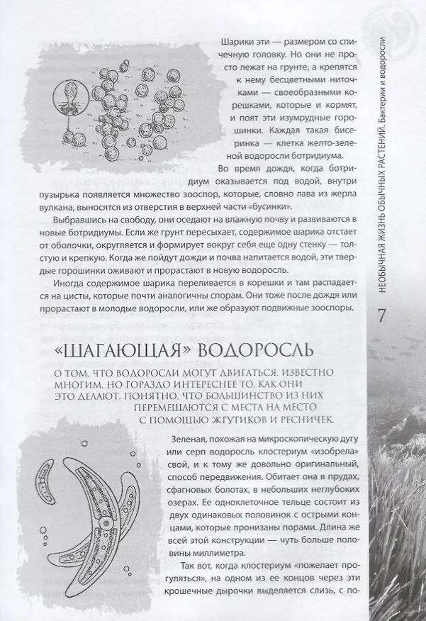 Книга Необычная жизнь обычных растений () — 2