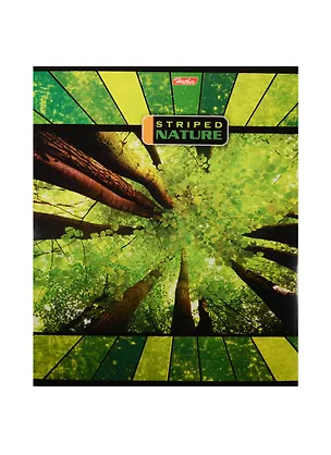 Тетрадь в линейку Hatber, "Полосатый мир", 96 листов, в ассортименте 239516
