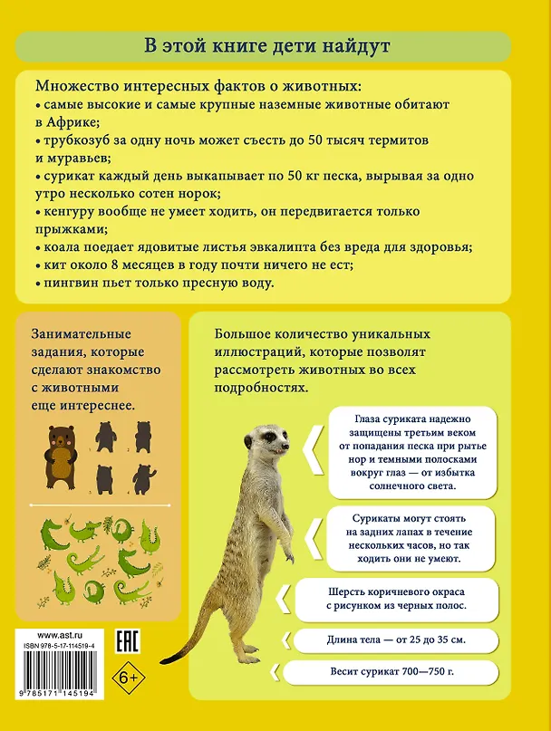 Книга Моя первая большая книга о животных (Любовь Вайткене) — 2