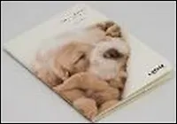 Блокнот "Песик" Спит (0101189) (Еж Стайл)