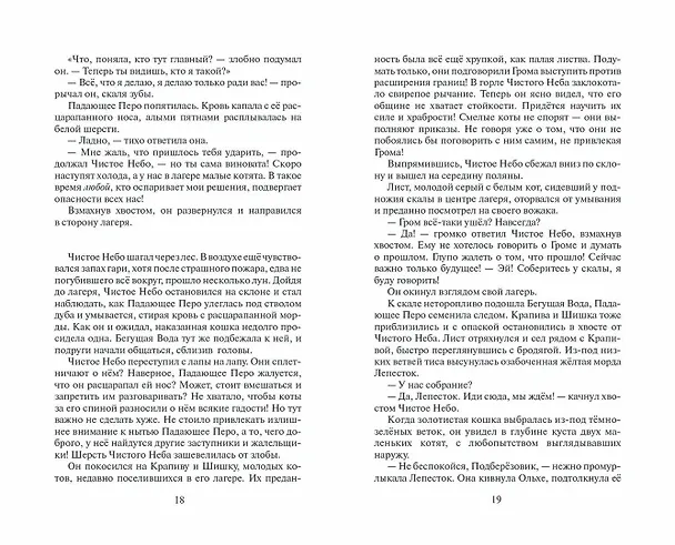 Книга Коты-воители. Первая битва (Эрин Хантер) — 9