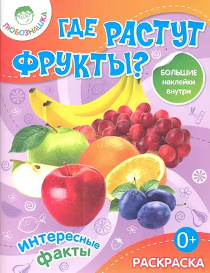 Где растут фрукты?Раскраска+большие наклейки внутри 0+ — 2351338 — 1