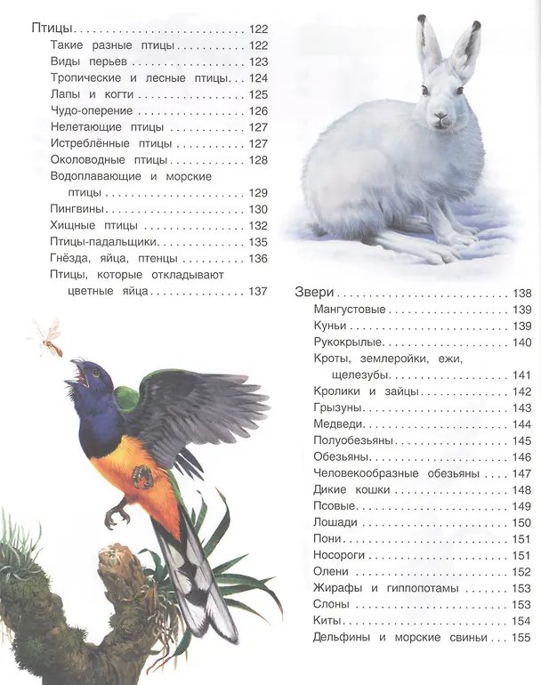 Книга Большая иллюстрированная энциклопедия. новая (Фрэн Бромаж) — 5