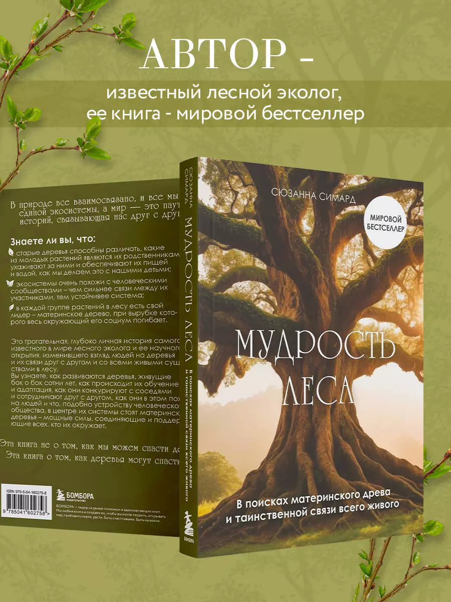 Мудрость леса. В поисках материнского древа и таинственной связи всего  живого (Сюзанна Симард) - купить книгу с доставкой в интернет-магазине  «Читай-город». ISBN: 978-5-04-160275-8