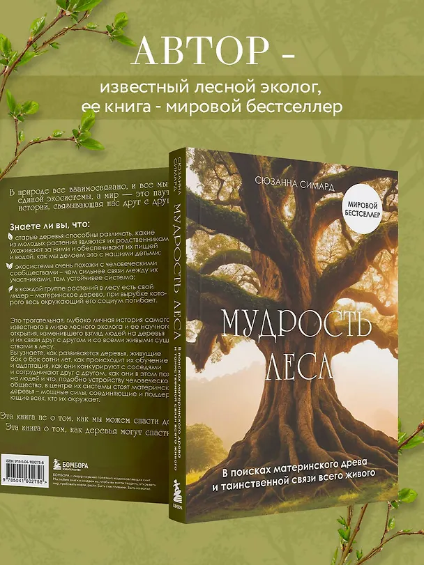 Книга Мудрость леса. В поисках материнского древа и таинственной связи всего живого (Сюзанна Симард) — 7