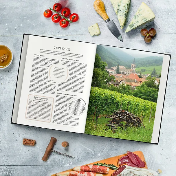 Книга Ларусс. Вино. Энциклопедия () — 8