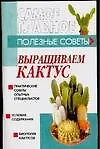 Книга Выращиваем кактус (Денис Дудинский)