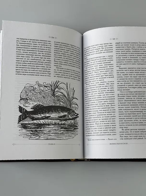 Книга Рыбалка в наших реках и озёрах. Иллюстрированное коллекционное издание в изящном переплёте ручной работы, украшенном тремя видами тиснения (Виталий Терлецкий) — 19