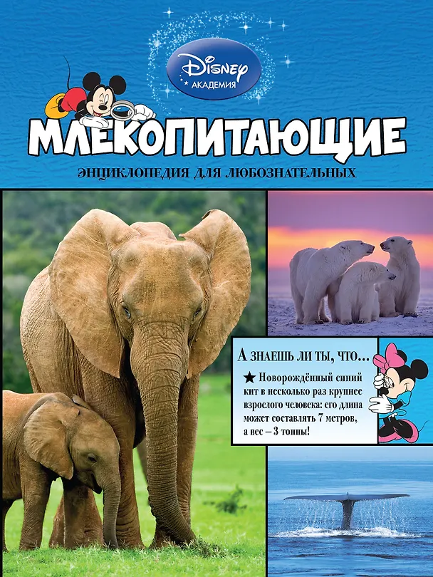 Книга Млекопитающие (Евгений Еронин) — 1