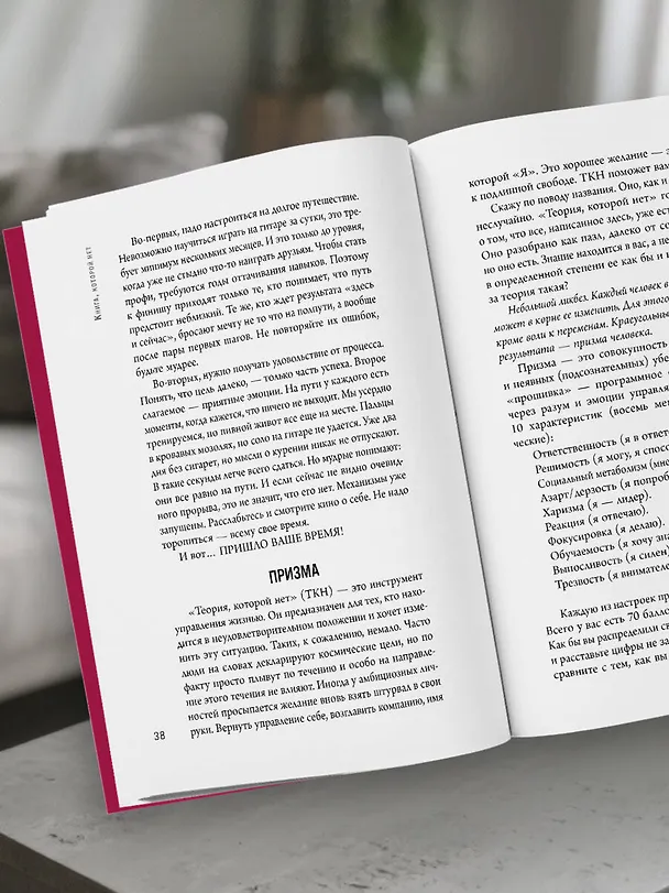 Книга Книга, которой нет. Как бросить беличье колесо и стряхнуть пыль со своей жизни (Алекс Новак) — 13