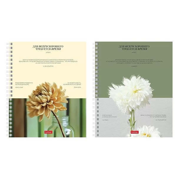 Тетрадь 96л лин. "Наше время" мел.картон, офсет 60г/м2, ассорти 3184461 — 1