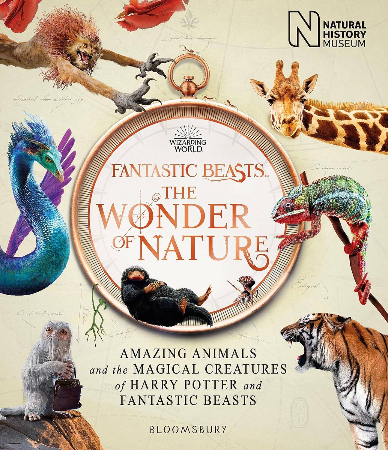 Обложка книги «Fantastic Beasts: The Wonder of Nature Фантастические твари: чудо природы/ Книги на английском языке»