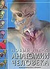 Новый атлас анатомии человека