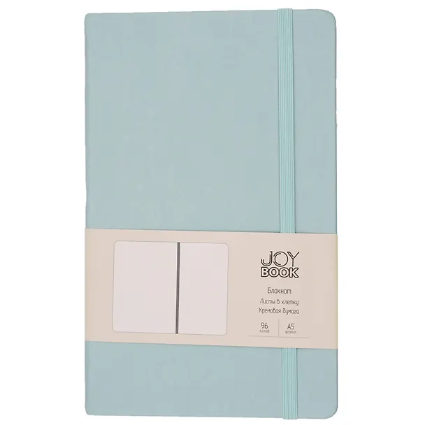 Книга для записей в клетку "Joy Book. Мятное мороженое", А5, 96 листов 3126041 — 3