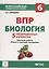 Биология. 6-й класс. ВПР. 5 тренировочных вариантов: учебно-методическое пособие — 2637116 — 1