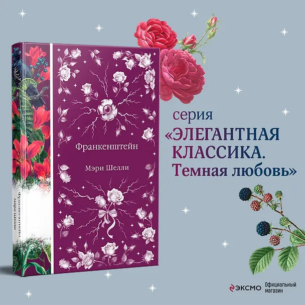 Книга Франкенштейн (Мэри Шелли) — 6