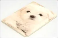 Блокнот "Песик" Милашка (0101188) (Еж Стайл)