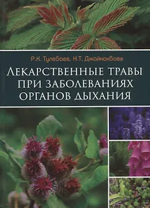 Лекарственные травы при заболеваниях органов дыхания