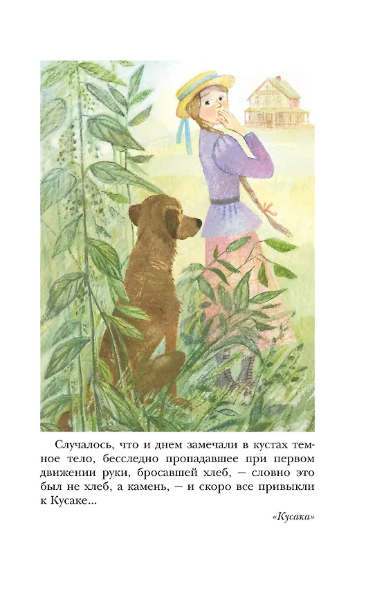 Книга Петька на даче. Рассказы (Леонид Андреев) — 8