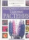 Неприхотливые садовые растения