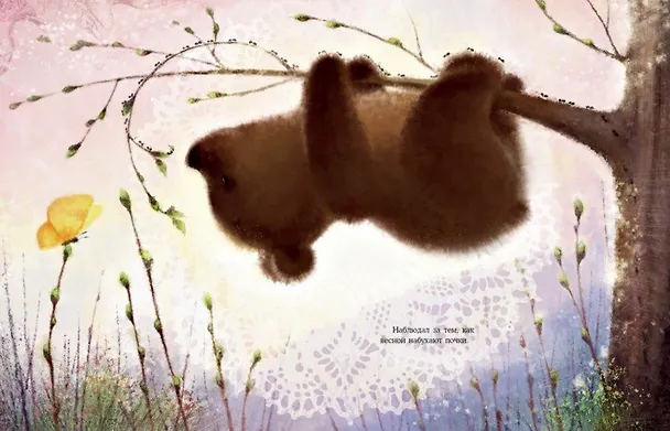 Книга Осень Медвежонка: сказка (Ирина Зартайская) — 3