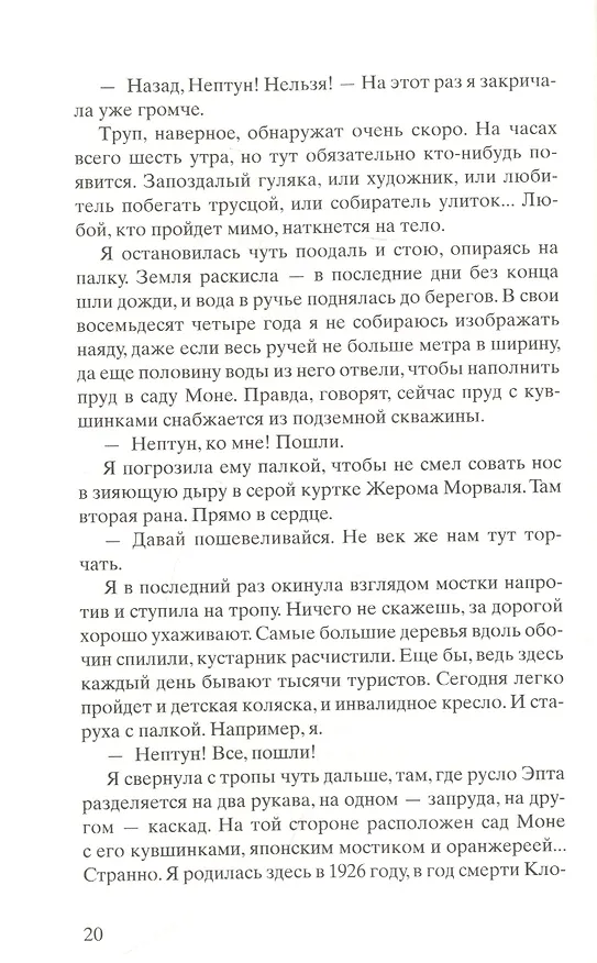 Книга Черные кувшинки (Мишель Бюсси) — 4