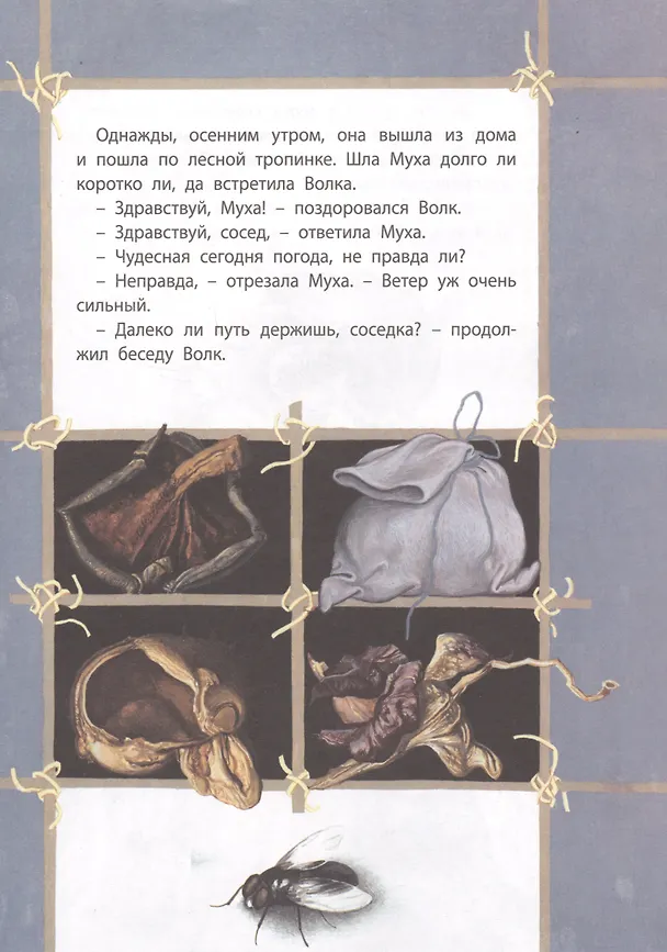 Книга Как Муха себе мужа искала () — 3