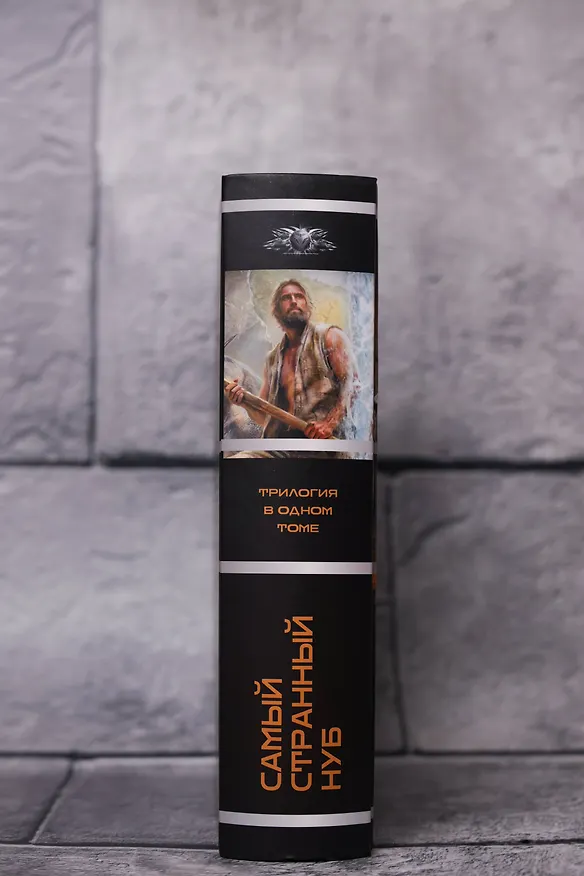 Книга Самый странный нуб (Артём Каменистый) — 8