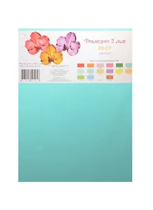 Фоамиран Рукоделие (F2-07) (мятный) (5 листов) (2мм) (21х29,7см) (упаковка)