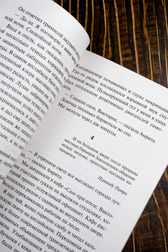 Книга Песнь Кали (Дэн Симмонс) — 8