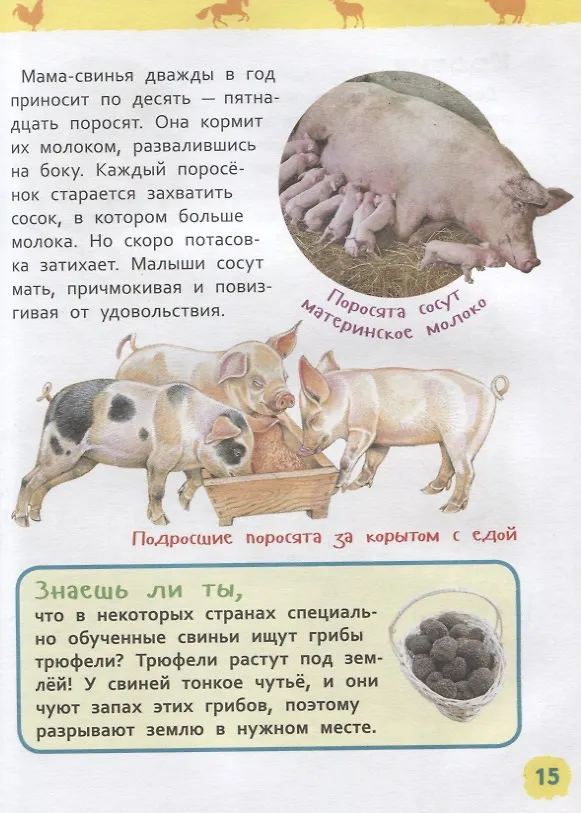 Книга Животные фермы. Энциклопедия для детского сада (Ирина Травина) — 3