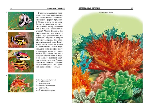 Книга В морях и океанах. () — 3