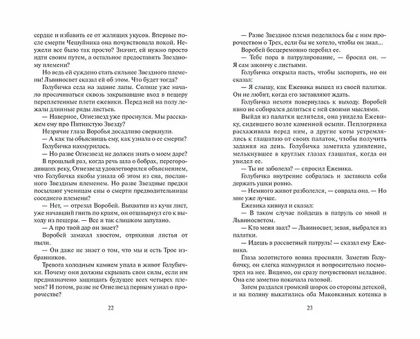 Книга Долгое эхо (Эрин Хантер) — 11