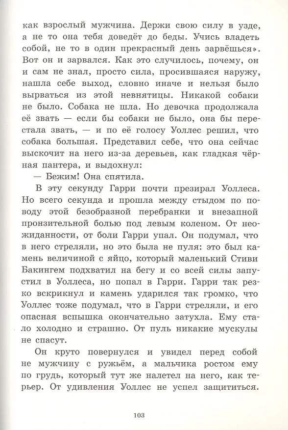 Книга Дорогой огня (Айвен Саутолл) — 6