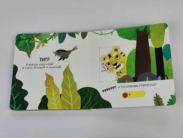 Книга Смотрим, играем, запоминаем! В зоопарке () — 13