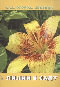 Лилии в саду
