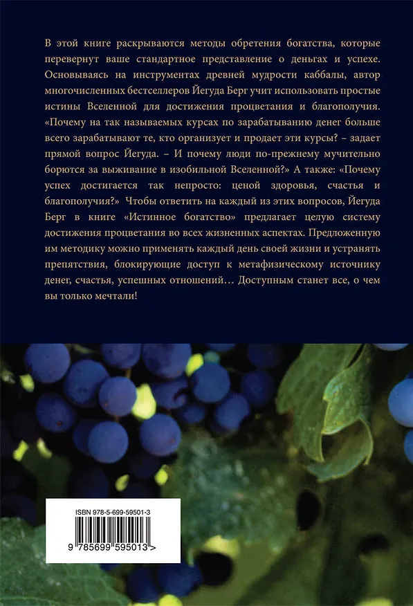 Книга Истинное богатство (Йегуда Берг) — 2